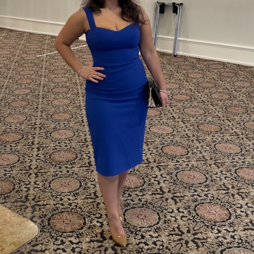 Dress the Population midi blue corset dress